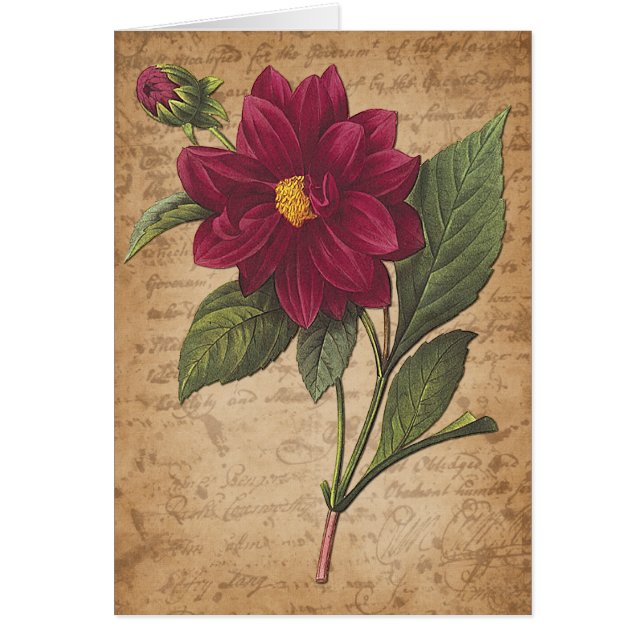 Rote Blume und Buchstabe (Vorne)