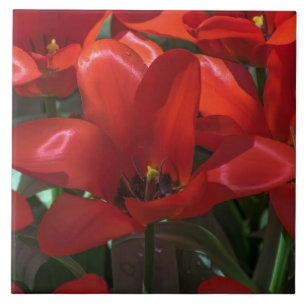 Rote Blumen-Keramikfliese Fliese