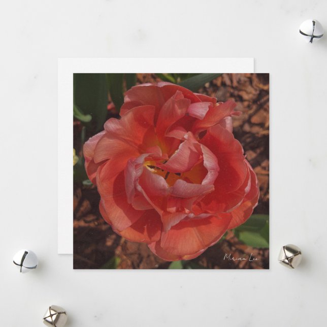 rote Blüte  Feiertagskarte (Vorderseite/Rückseite Beispiel)