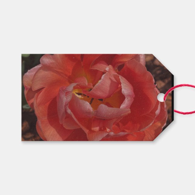 rote Blüte  Geschenkanhänger (Vorderseite (Horizontal))