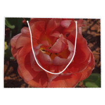 rote Blüte