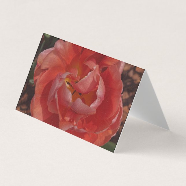 rote Blüte  Visitenkarten (Vorderseite)