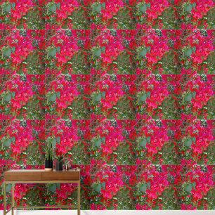 Rote Blüten: Tanz der roten Bougainvilleas Tapete