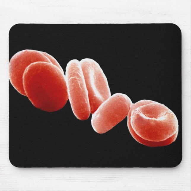 Rote Blutkörperchen Mousepad (Vorne)