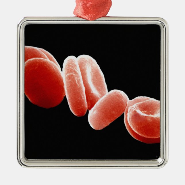 Rote Blutkörperchen Silbernes Ornament (Vorne)