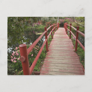 Rote Brücke über Teich, Magnolia Plantation, Postkarte