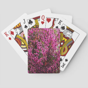 Rote Bud Blume...... Spielkarten