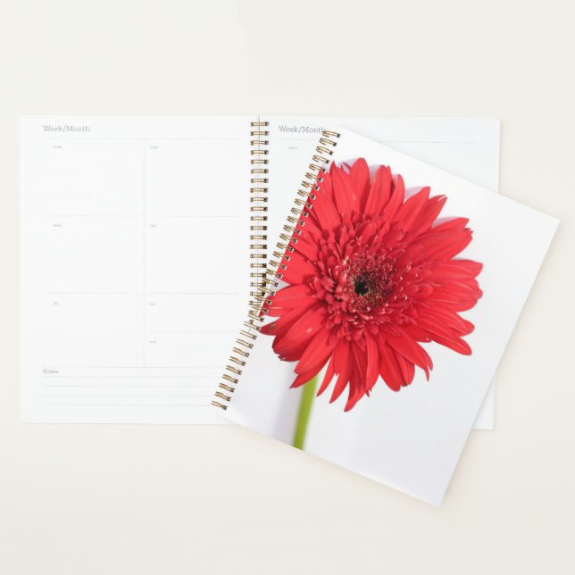 Rote Chrysanthemum Petals Blume Floral Planer (Anzeige)