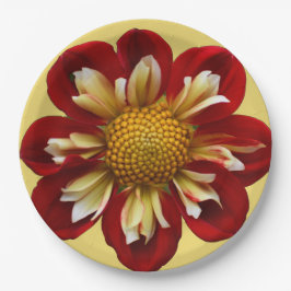 Rote Collarette Dahlia auf der Gelben Flora Pappteller