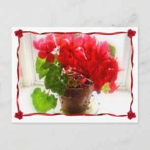 Rote Cyclamen-Blume Postkarte