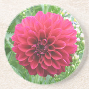 Rote Dahlia-Sandstein-Untersetzer Sandstein Untersetzer