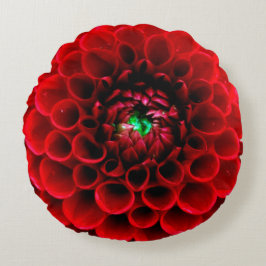 Rote Dahlie-Blumen-rundes Kissen