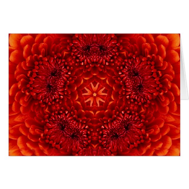 ROTE DAHLIENBLÜTENBLÄTTER (Vorderseite (Horizontal))