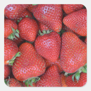 Rote Erdbeeren, frisch Quadratischer Aufkleber
