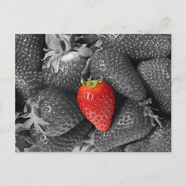 Rote Erdbeerkarte Postkarte (Vorderseite)
