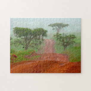 Rote Erde Road Veldt Nebel Südafrika.
