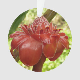 Rote Fackel-Ingwer Tropische Blumenfotografie Ornament
