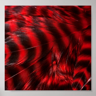 Rote Federn Poster