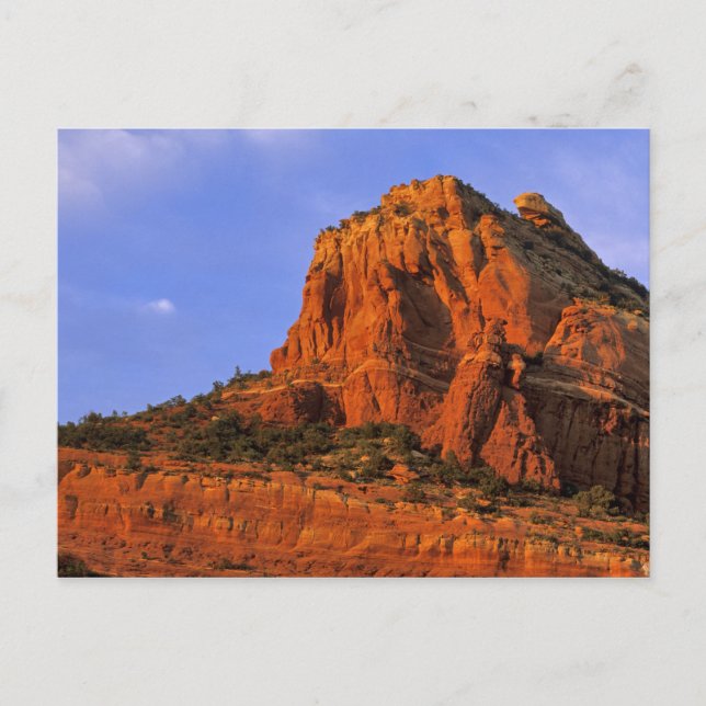 Rote Felsen am Sterling Canyon in Sedona Arizona Postkarte (Vorderseite)