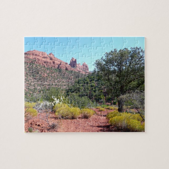 Rote Felsen und Cacti II in Sedona Arizona (Horizontal)