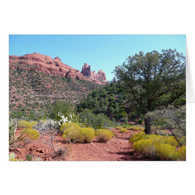 Rote Felsen und Cacti II in Sedona Arizona (Vorderseite (Horizontal))