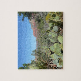 Rote Felsen und Kakteen I