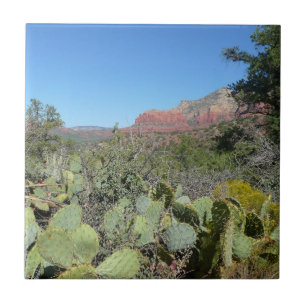 Rote Felsen und Kakteen I Fliese