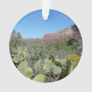 Rote Felsen und Kakteen I Ornament