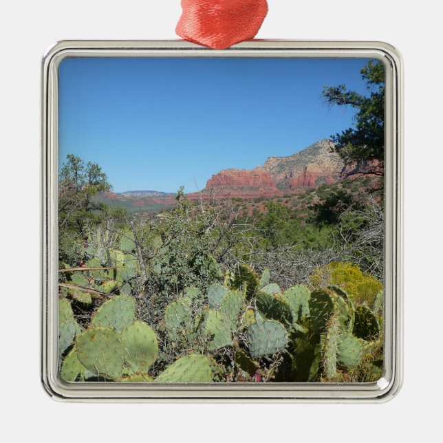 Rote Felsen und Kakteen I Silbernes Ornament (Vorne)