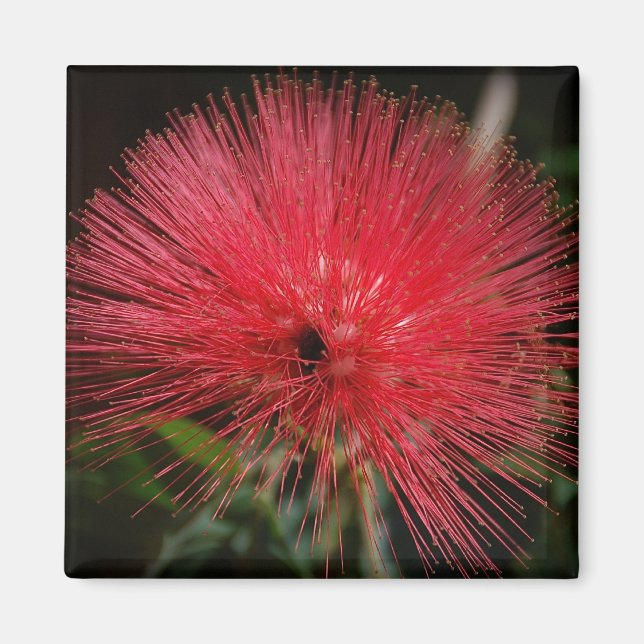 Rote Flasche Brush Magnet (Vorne)