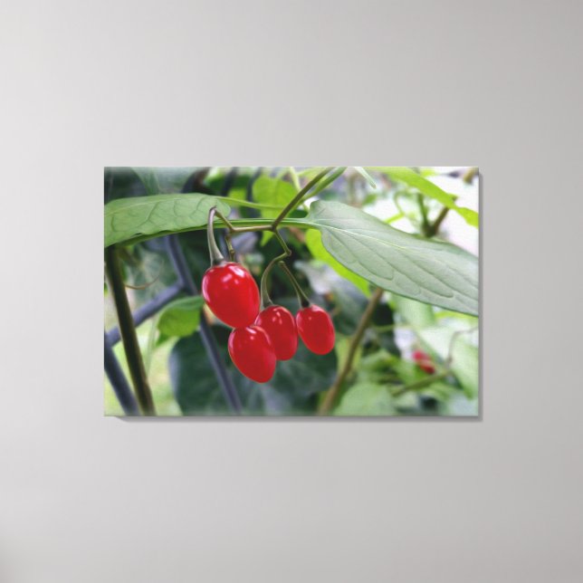 rote Flecken im Herbst Leinwanddruck (Vorderseite)