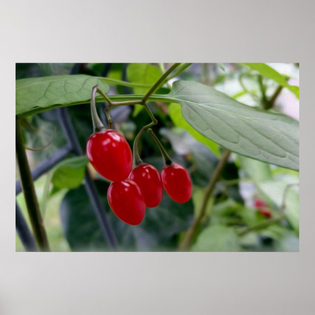 rote Flecken im Herbst Poster (Vorne)