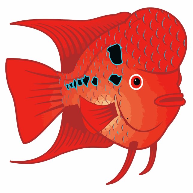 Rote Flowerhorn Fische Freistehende Fotoskulptur (Vorne)