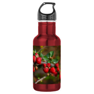 Rote Frühlingsbügel Edelstahl Wasserflasche