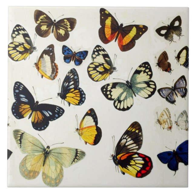 ROTE GELBE BLAUE WHITE BUTTERFLIES Schönheit Natur Fliese (Vorderseite)