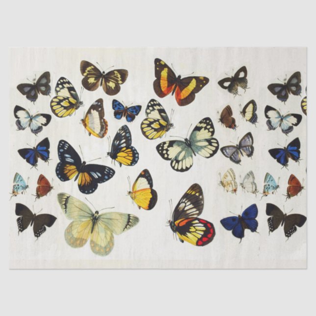 ROTE GELBE BLAUE WHITE BUTTERFLIES Schönheit Natur Seidenpapier (Vorderseite)