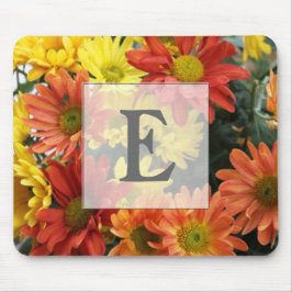 Rote, gelbe, orangefarbene Blume im Herbst. Mousepad