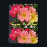 Rote Gelbe Rose Blume Bloral Geburtstag Rose Magnet<br><div class="desc">Rot gelbe Rose Aquarell Blume Blumengestein Vintage Rose Geburtstagskarte. Entworfen aus meinem ursprünglichen Foto und Garten Foto aus meinem eigenen Garten.</div>