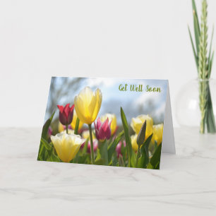 Rote, gelbe und rosa Tulpen in der Sonne werden ba Karte