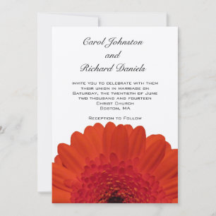 Rote Gerber-Daisy-Hochzeitseinladung Einladung