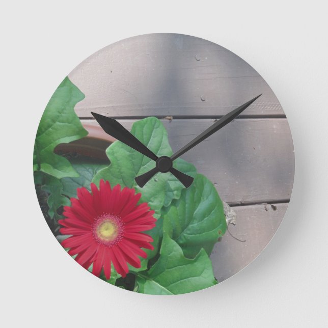 Rote Gerber Gänseblümchen-Blume Runde Wanduhr (Vorderseite)