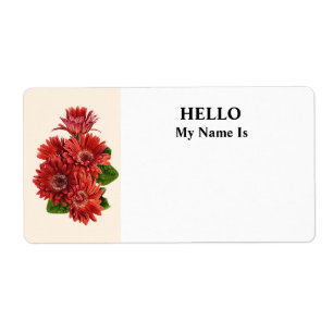 Rote Gerbera