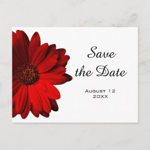 Rote Gerbera-Gänseblümchen-Save the Date Postkarte