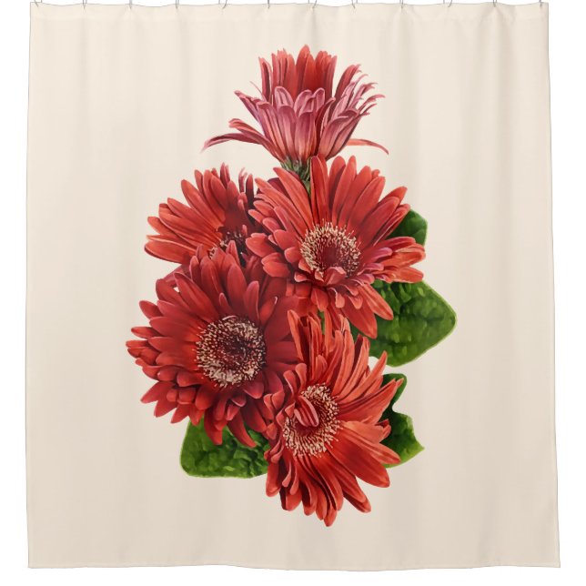 Rote Gerbera-Margeriten Duschvorhang (Vorderseite)