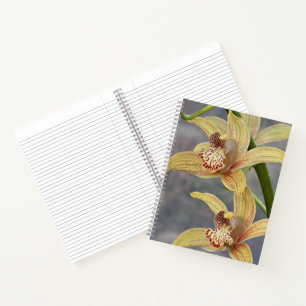 Rote gesprenkelte Cymbidium-Orchideen-Blumen Notizbuch