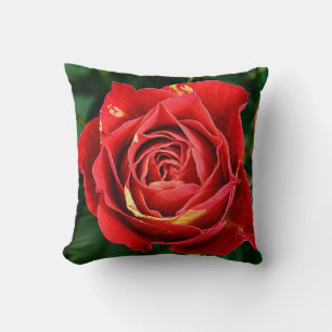Rote gesprenkelte Rosen-Blumenfotografie Kissen