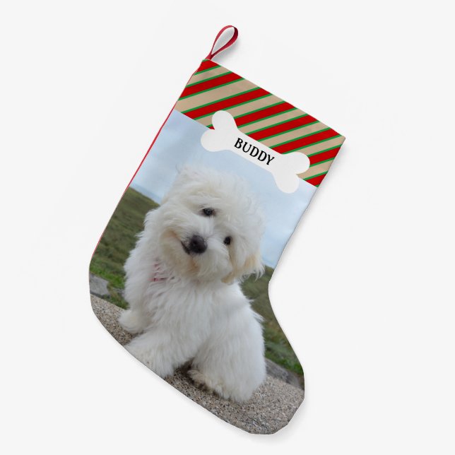 Rote grüne Linien Dogenknochen Foto Kleiner Weihnachtsstrumpf (Vorderansicht (hängend))
