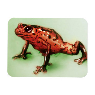 Rote & grüne Tierkunst, Foto-Magnet - Frosch Magnet