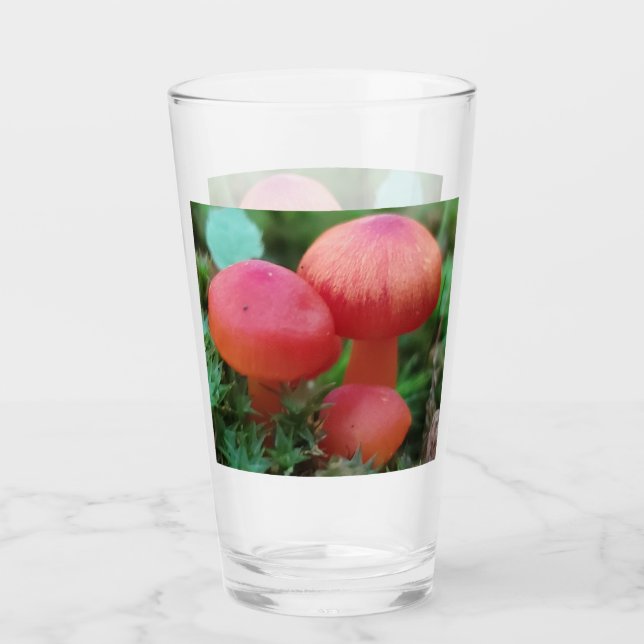 Rote, helle Pilze im Waldboden Glas (Vorderseite)