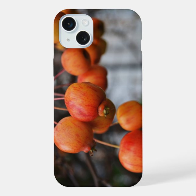 Rote Herbstäpfel iPhone 15 Plus Hülle (Rückseite)